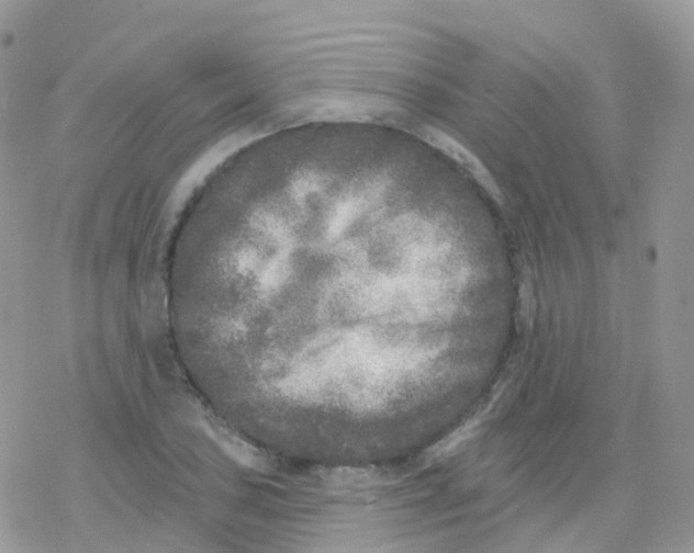 X0000078311027200611251528