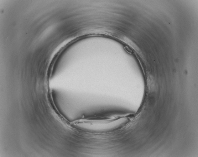 X0000078311028200611251528