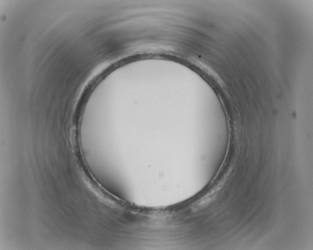 X0000078311029200611251528