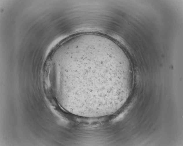 X0000078311030200611251528