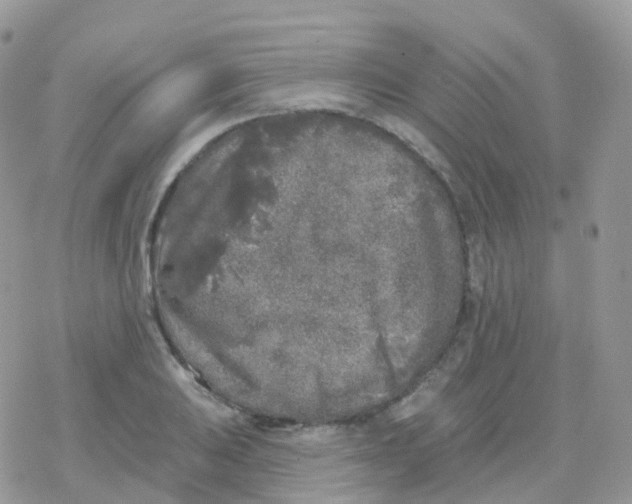 X0000078311031200611251528