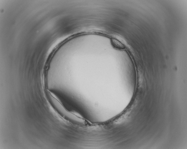 X0000078311032200611251528