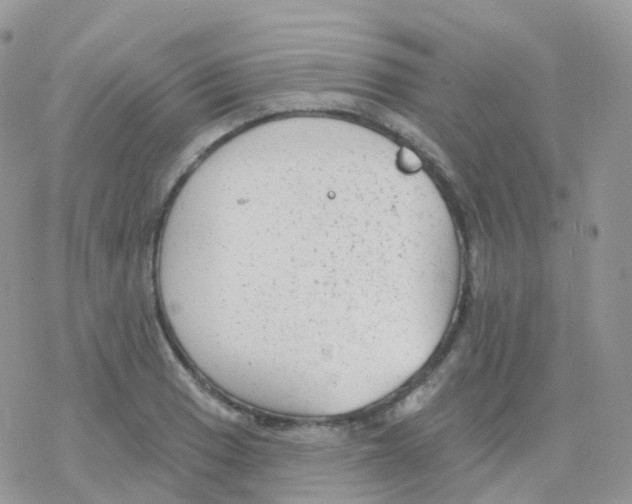 X0000078311033200611251528