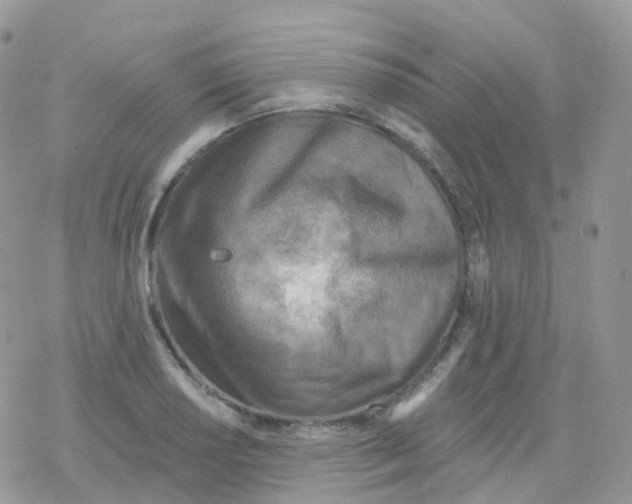 X0000078311034200611251528