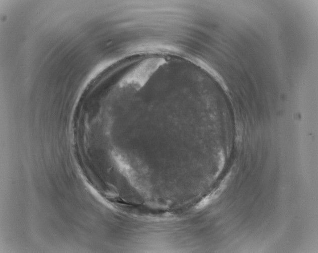 X0000078311037200611251528