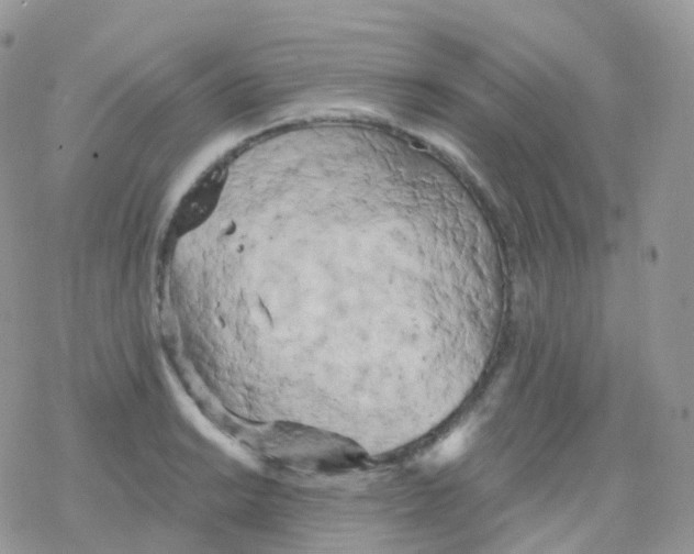 X0000078311038200611251528