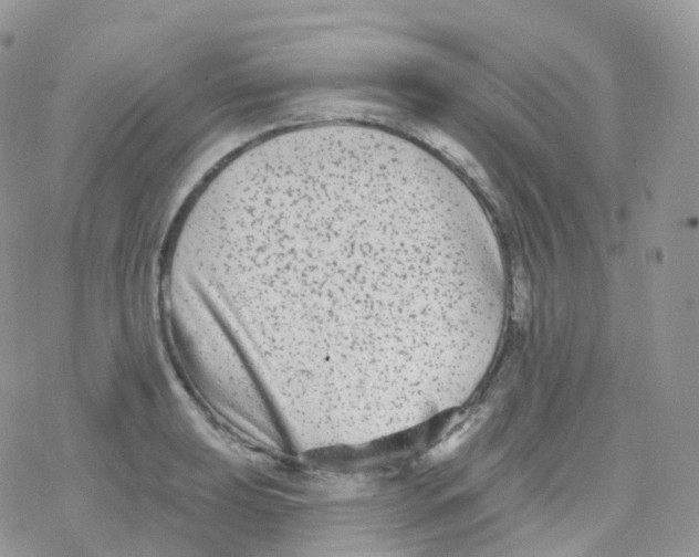 X0000078311039200611251528