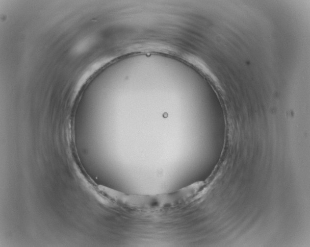 X0000078311040200611251528