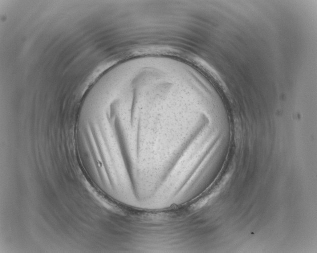 X0000078311041200611251528