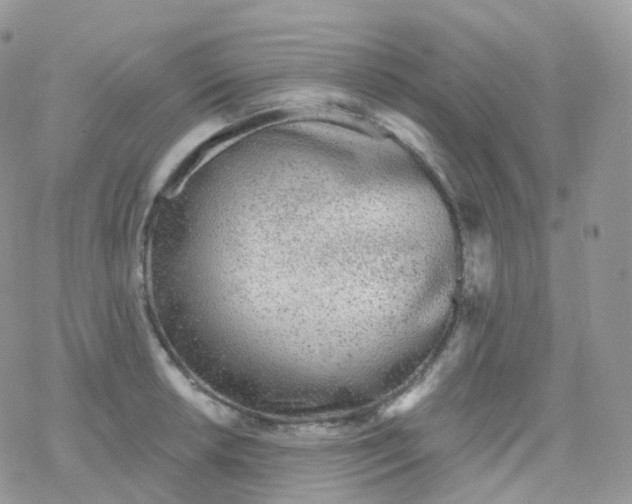 X0000078311042200611251528