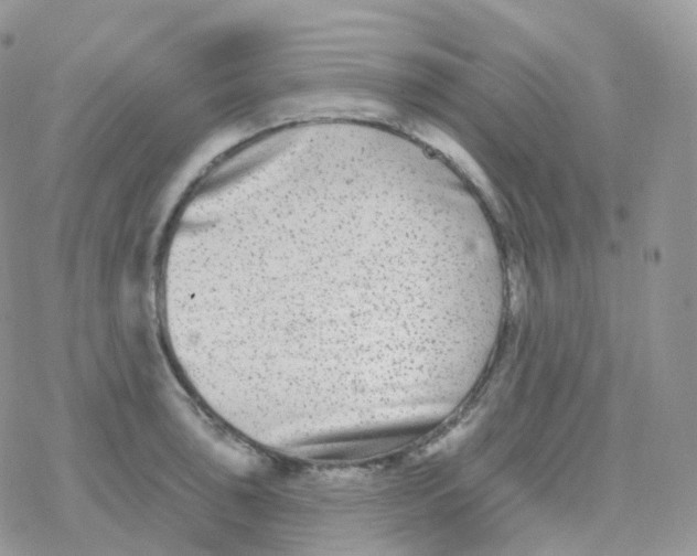 X0000078311043200611251528