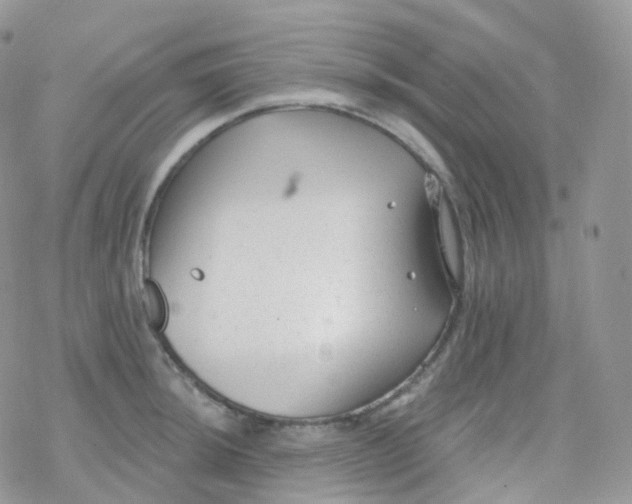 X0000078311044200611251528