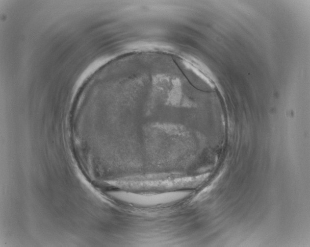 X0000078311045200611251528