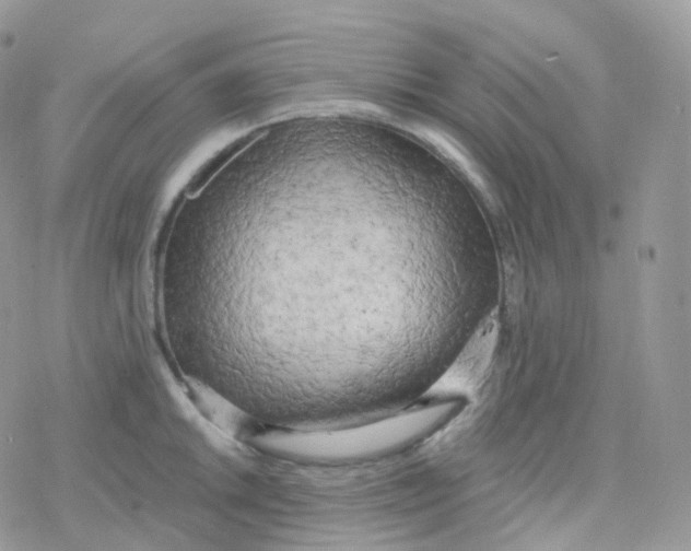 X0000078311046200611251528