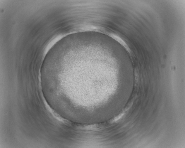 X0000078311047200611251528