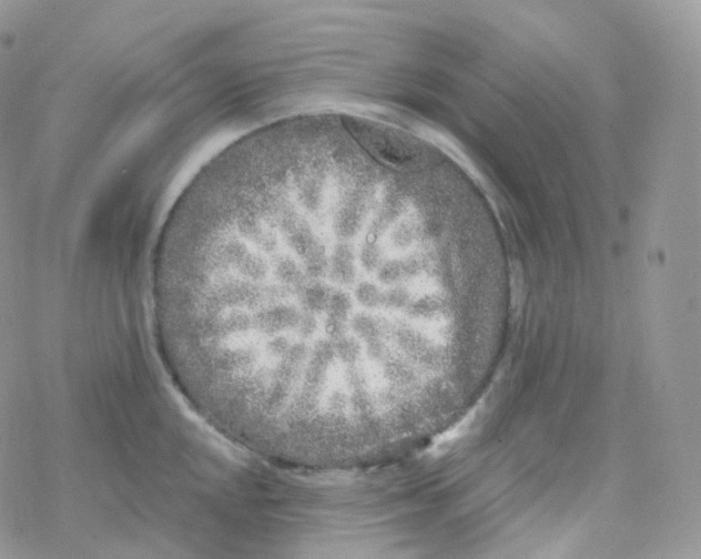 X0000078311048200611251528