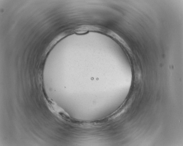 X0000078311049200611251528