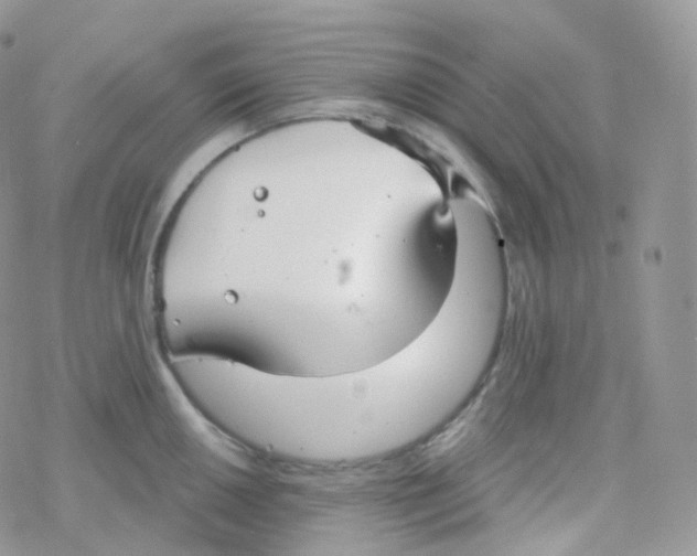 X0000078311050200611251528