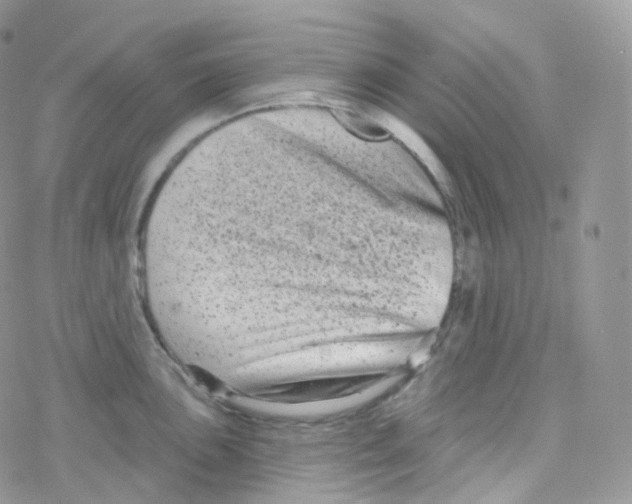 X0000078311051200611251528