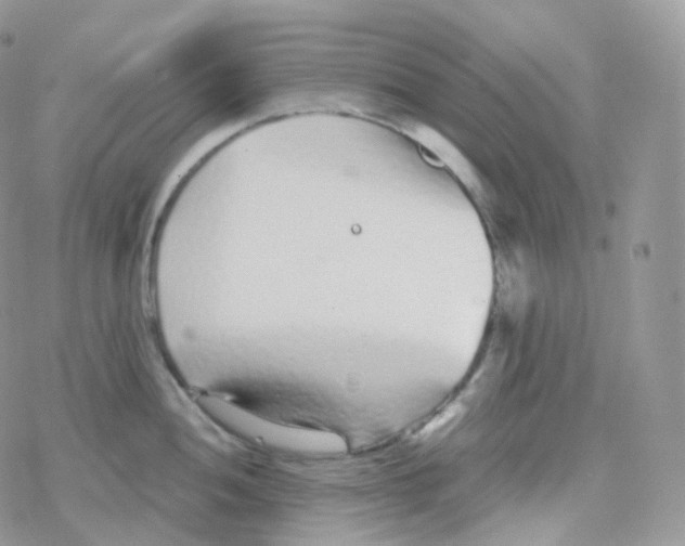 X0000078311052200611251528