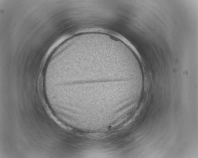 X0000078311053200611251528