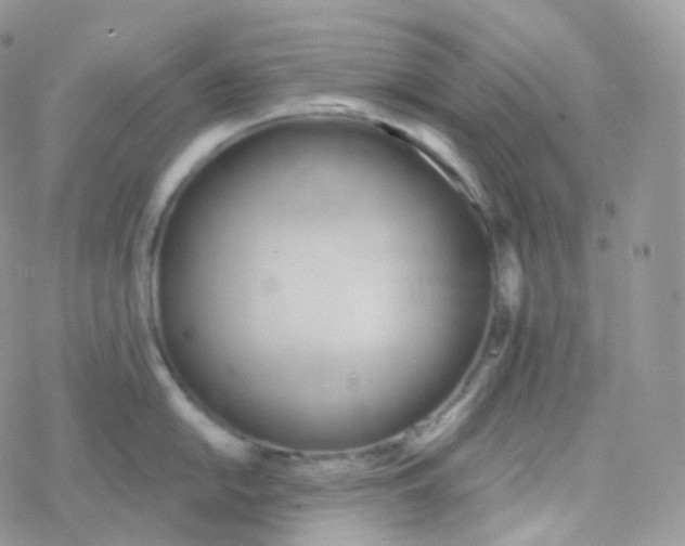 X0000078311054200611251529