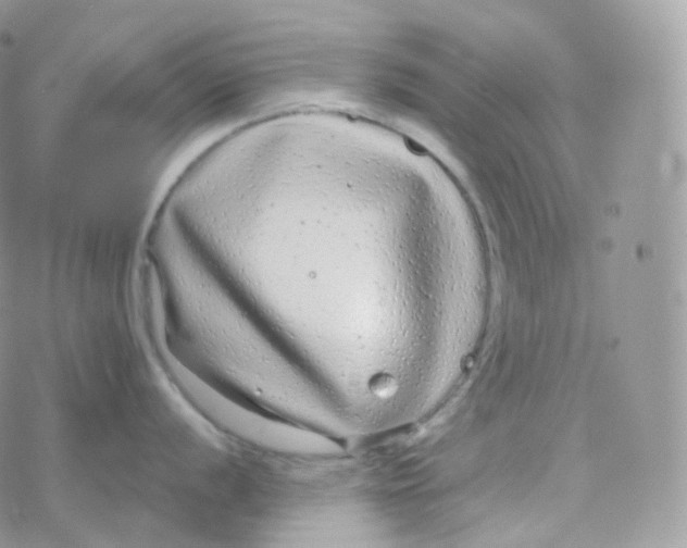 X0000078311056200611251529