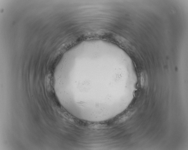 X0000078311059200611251528