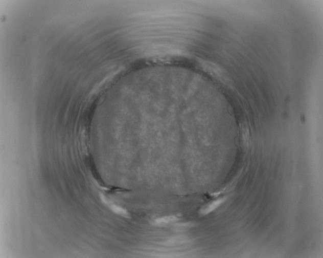 X0000078311060200611251528