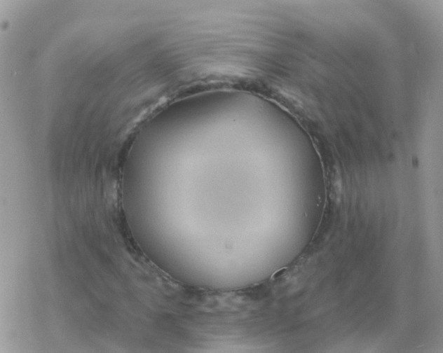 X0000078311061200611251528