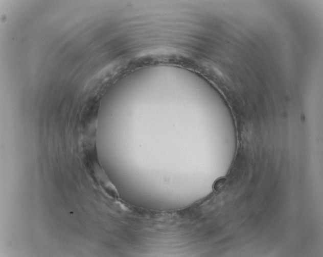 X0000078311062200611251528