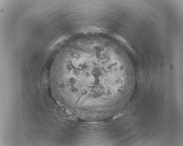 X0000078311063200611251528