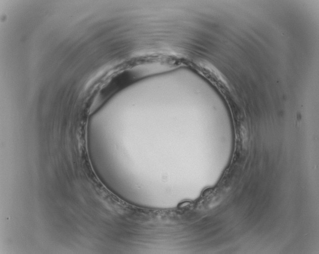 X0000078311064200611251528