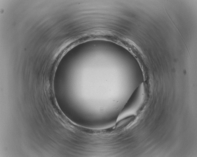 X0000078311065200611251528