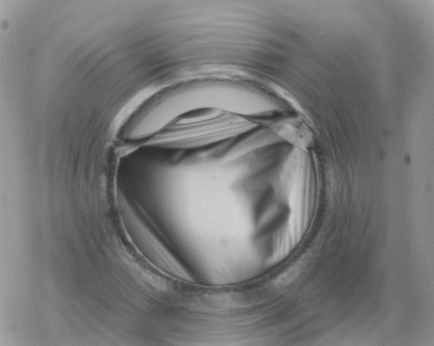 X0000078311066200611251528