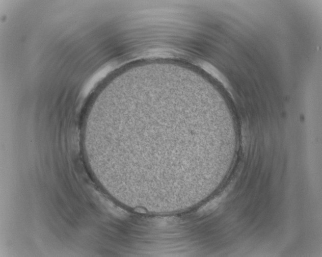 X0000078311067200611251528