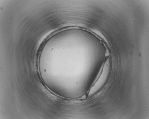 X0000078311068200611251528