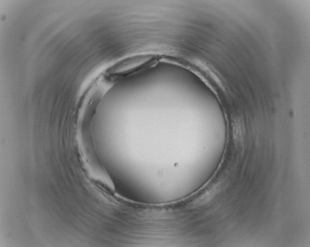 X0000078311069200611251528