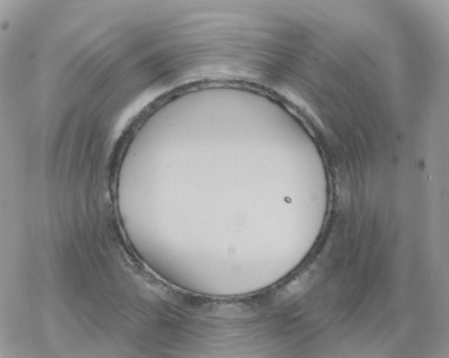 X0000078311070200611251528