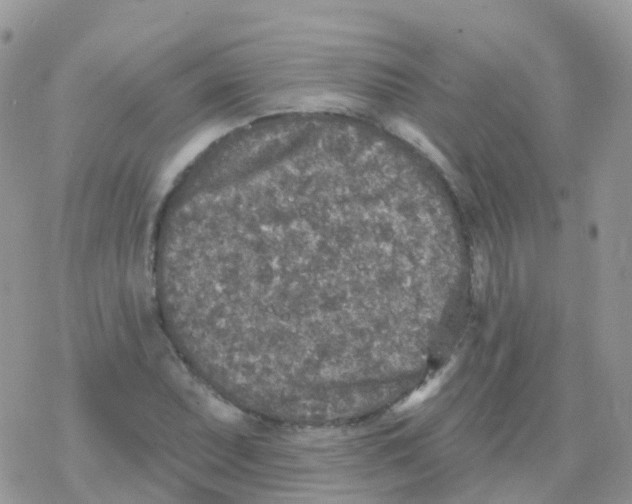 X0000078311071200611251528