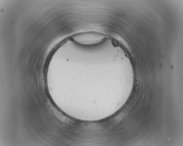 X0000078311072200611251528