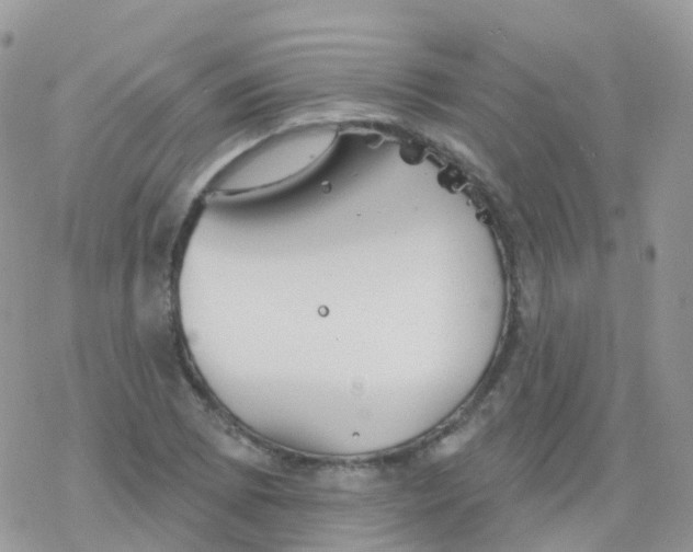 X0000078311073200611251527