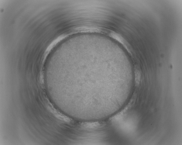 X0000078311074200611251527