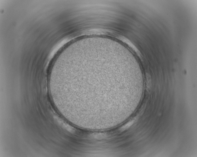 X0000078311075200611251527