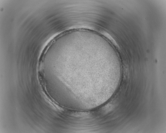 X0000078311076200611251527