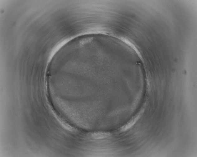 X0000078311077200611251527