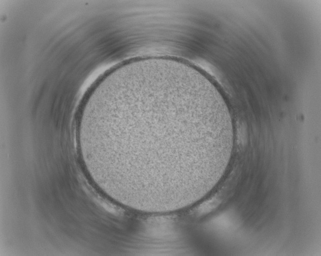 X0000078311078200611251527