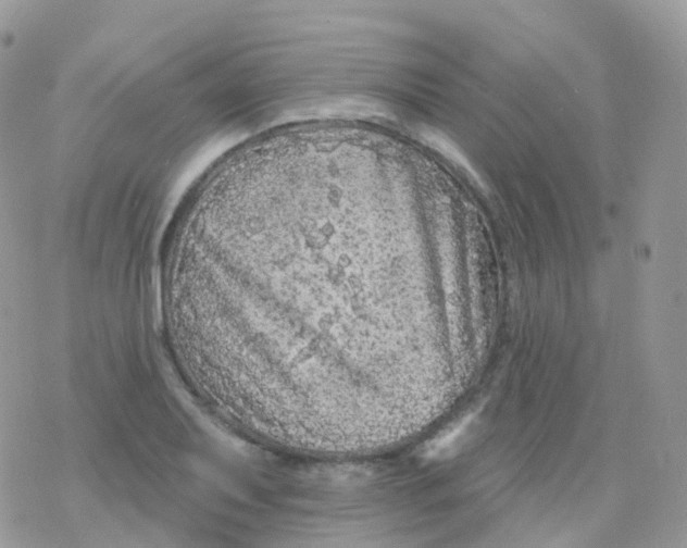 X0000078311079200611251527