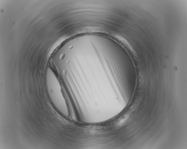 X0000078311081200611251527