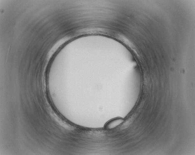 X0000078311082200611251527